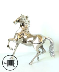 Elegant Hest