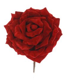 Rød Fløyelsrose
