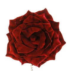 Mørkrød Fløyelsrose