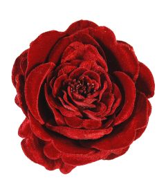 Fløyelsrose