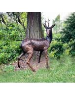 Flott Rådyr I Bronse