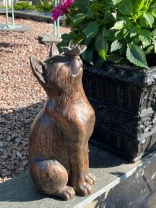 Vakker Katt & Sommerfugl